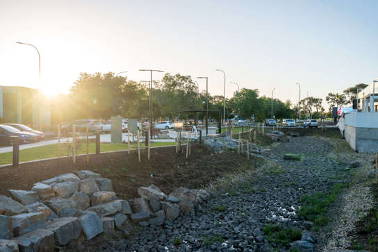 Export Park Landscaping
